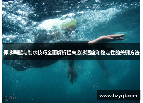 仰泳踢腿与划水技巧全面解析提高游泳速度和稳定性的关键方法