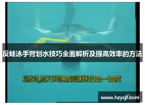 反蛙泳手臂划水技巧全面解析及提高效率的方法