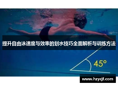 提升自由泳速度与效率的划水技巧全面解析与训练方法