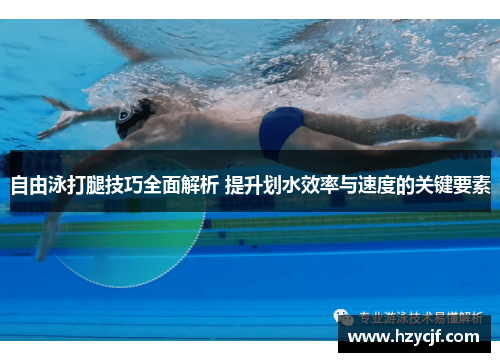 自由泳打腿技巧全面解析 提升划水效率与速度的关键要素