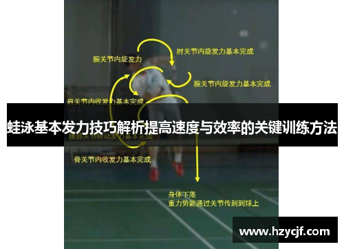 蛙泳基本发力技巧解析提高速度与效率的关键训练方法